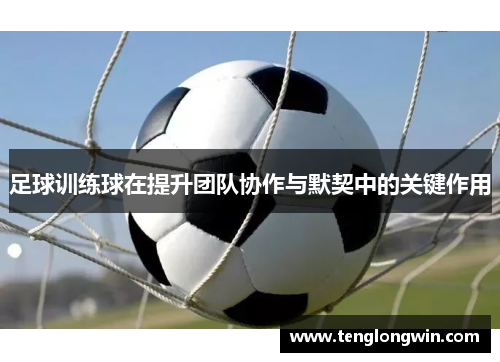 足球训练球在提升团队协作与默契中的关键作用